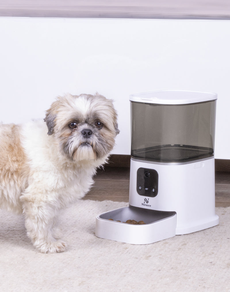 een hond die eet uit een voerautomaat 